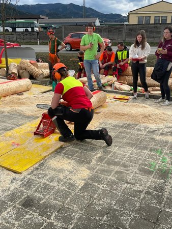 Bezirksforstwettbewerb