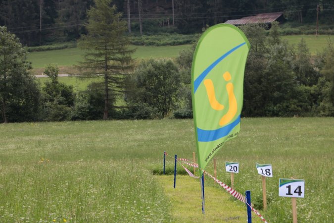 Landessensenmähen Murau