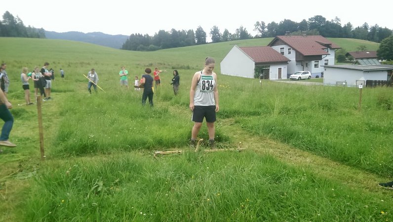 Bezirkssensenmähen 2018