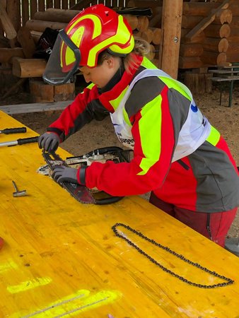 Landesforstwettbewerb