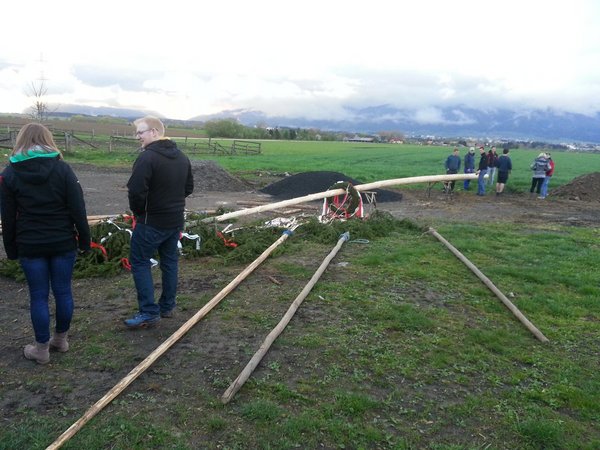 Maibaum aufstellen